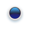 DSS Express Live View.png