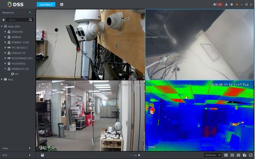 Live View - DSS Client.jpg