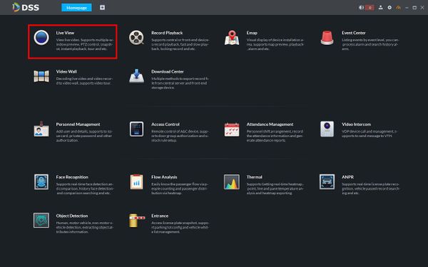 Live View - DSS Client - 1.jpg