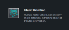 DSS Object Detection Icon.png