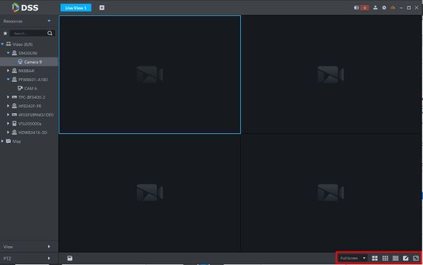 Live View - DSS Client - 4.jpg