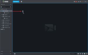 Live View - DSS Client - 3.2.jpg