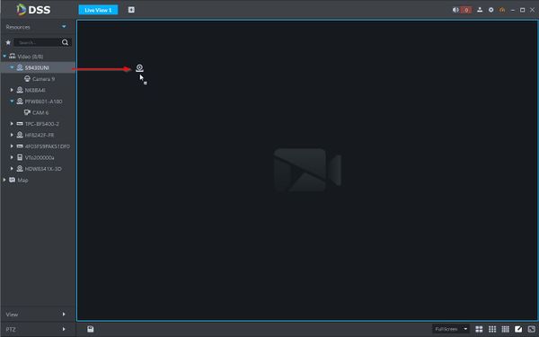 Live View - DSS Client - 3.2.jpg