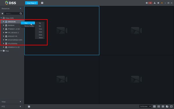 Live View - DSS Client - 3.1.jpg