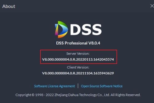 DSSV8Upgrade02.jpg